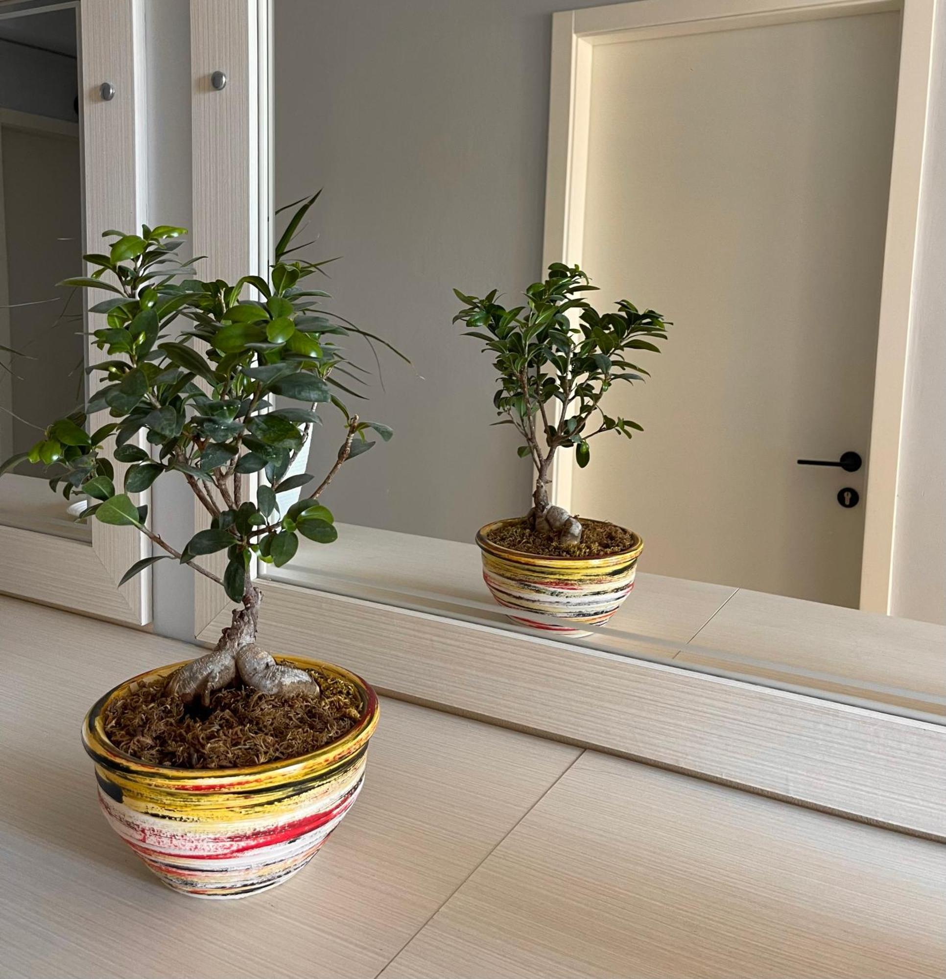 סרנדה Melina Apartments מראה חיצוני תמונה